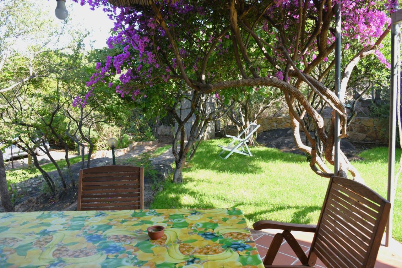 Villa Juniper سانتا ماريا نافاريز المظهر الخارجي الصورة